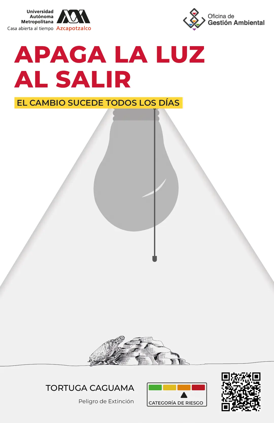 Cartel 5