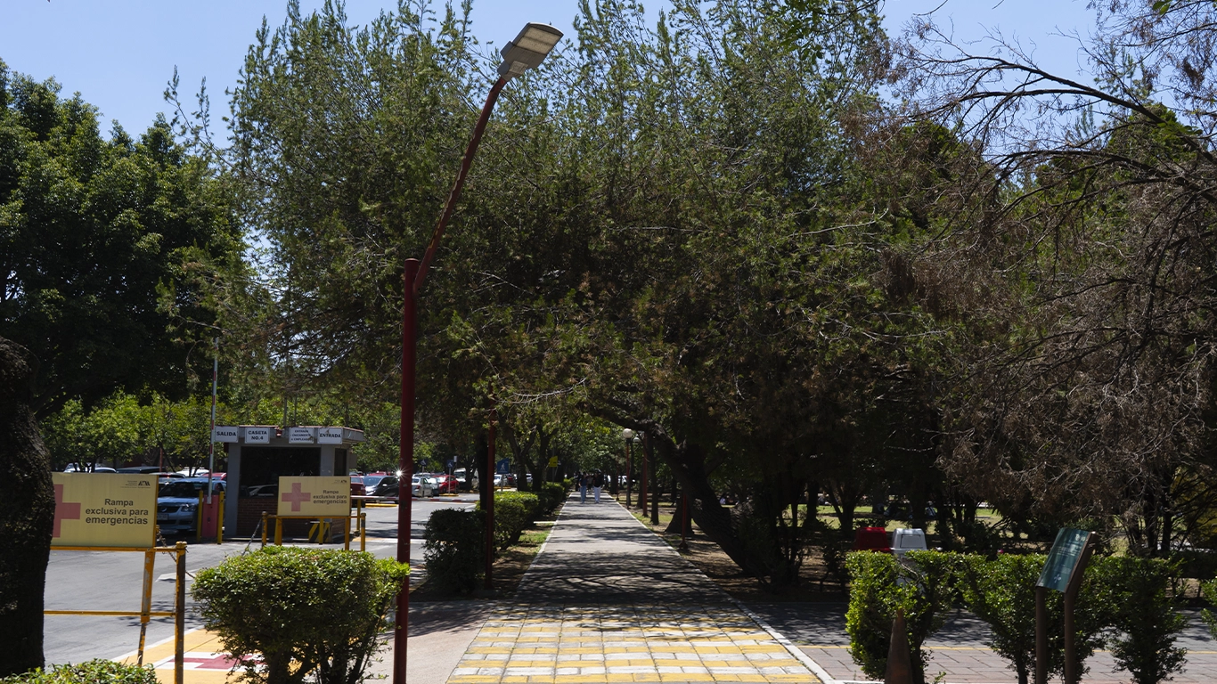Sendero 1