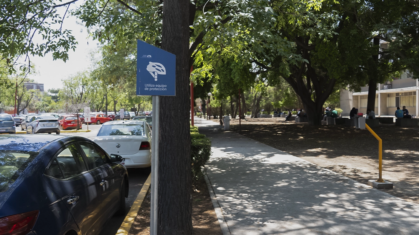 Infraestructura ciclista