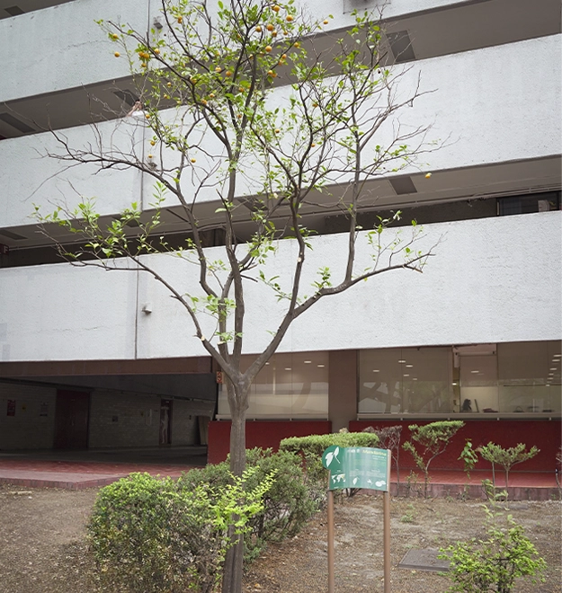 Imagen del exterior de la planta de tratamiento de aguas residuales.